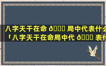 八字天干在命 🐟 局中代表什么「八字天干在命局中代 🐞 表什么意思」